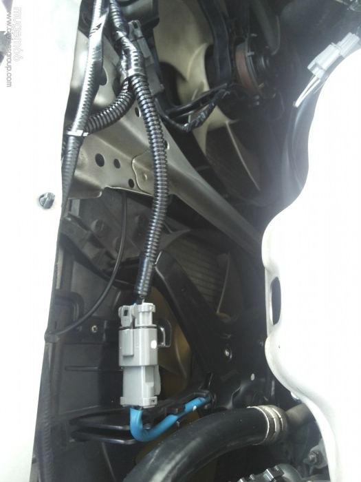 NT Engine Clean     ( รับล้างห้องเครื่อง )