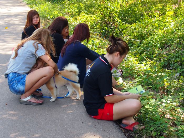 ฟินกันสุดๆ