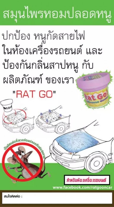 งานเข้าหนูกัดสายไฟ ช่วยดูหน่อยอันตรายไหมครับ