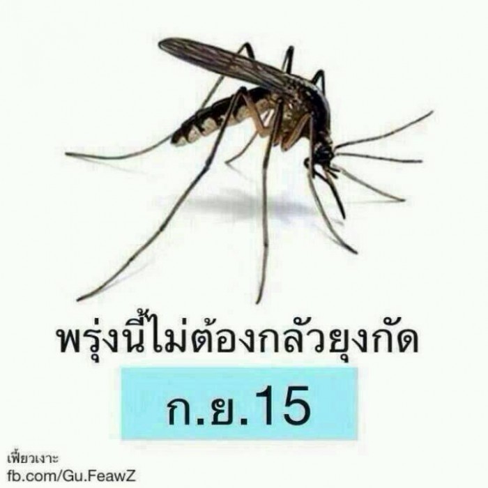 พรุ่งนี้ไม่ต้องกลัวยุงกัด