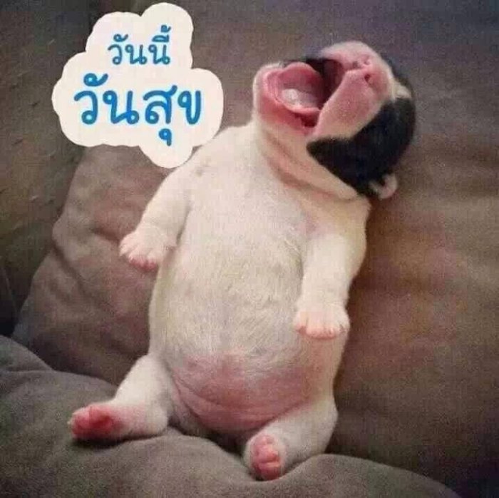 ********* บ้านโป่ง นครปฐม ราชบุรี ****************