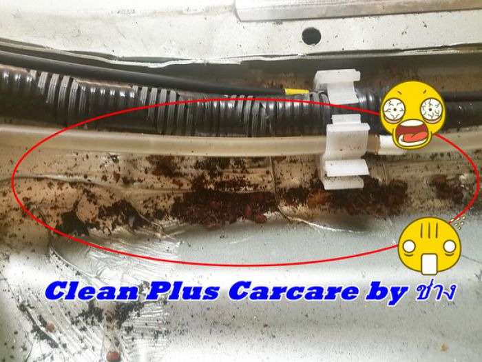 หากรถโดนน้ำท่วม Carcareนี้มีบริการซักเบาะ+พรมแบบถอดรื้อ , หารอยรั่ว+แก้ไขจุดรั่วได้ค่ะ